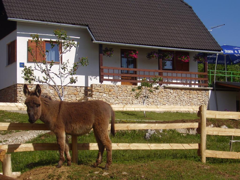 Apartment Goran Poljanak Zewnętrze zdjęcie